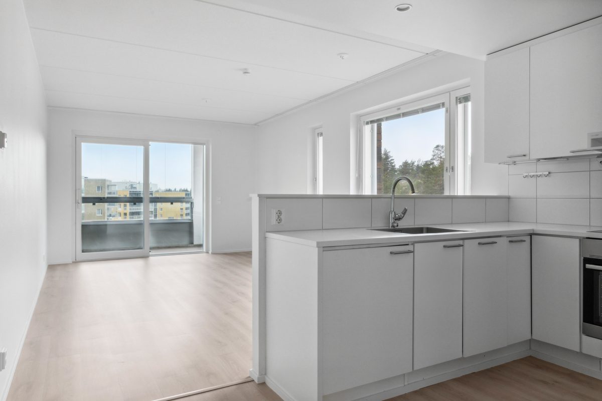 Koirasaarentie_19_B101-10