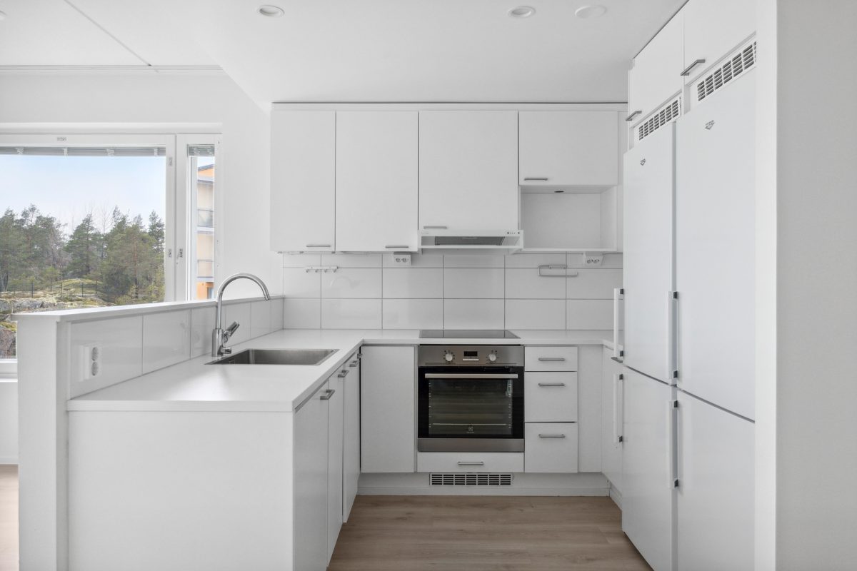 Koirasaarentie_19_B101-9