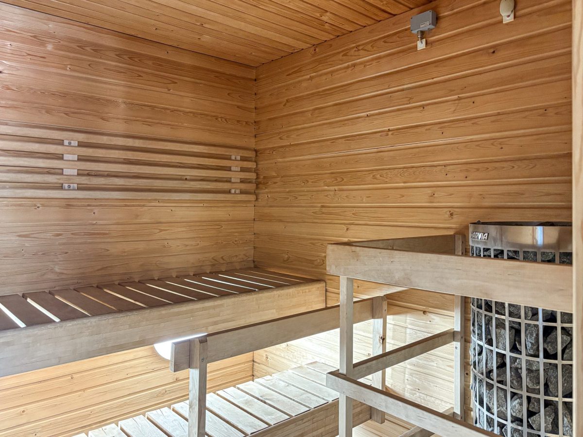 Sauna sompis 2