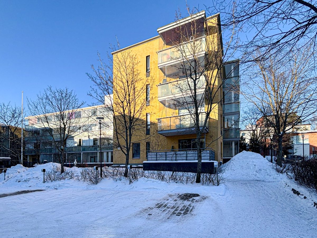 Viikki talvijulkkari